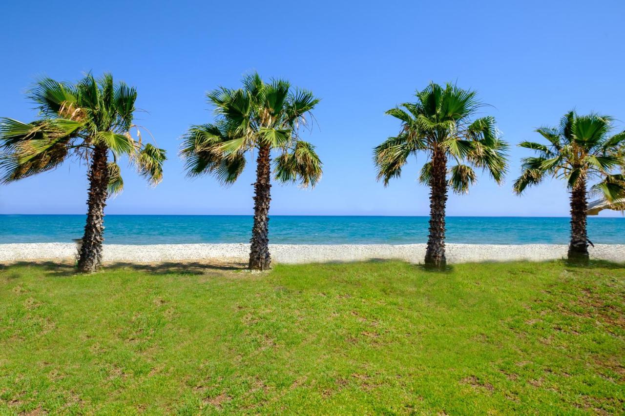 Oceanview Apartment Larnaca Eksteriør billede