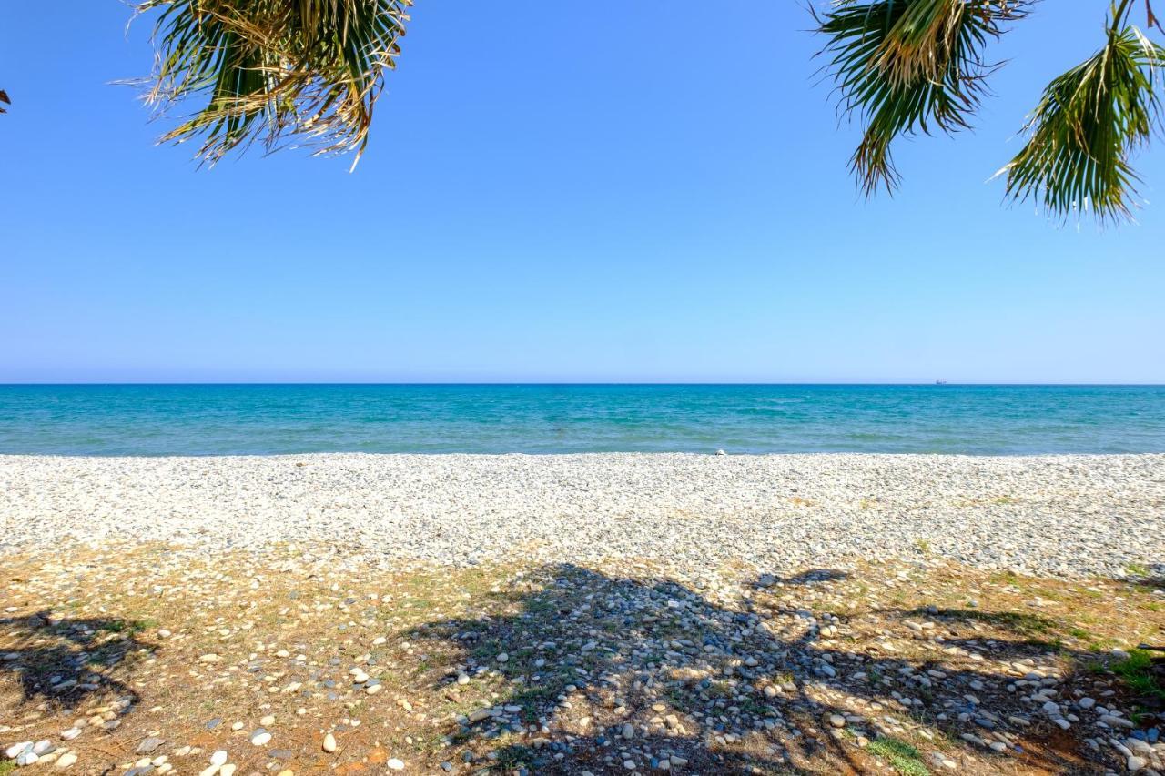 Oceanview Apartment Larnaca Eksteriør billede